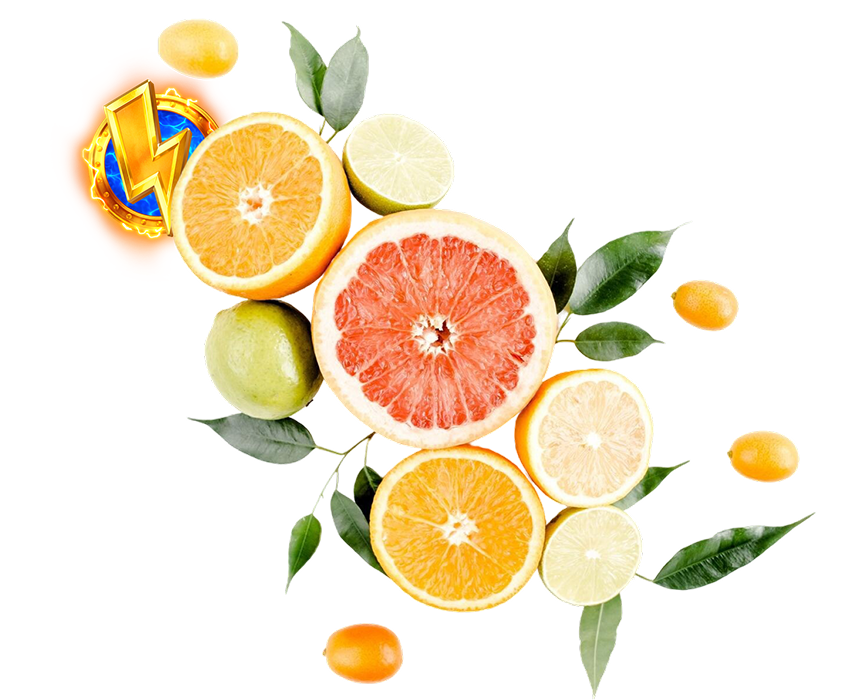 fruit