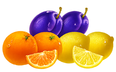 fruit